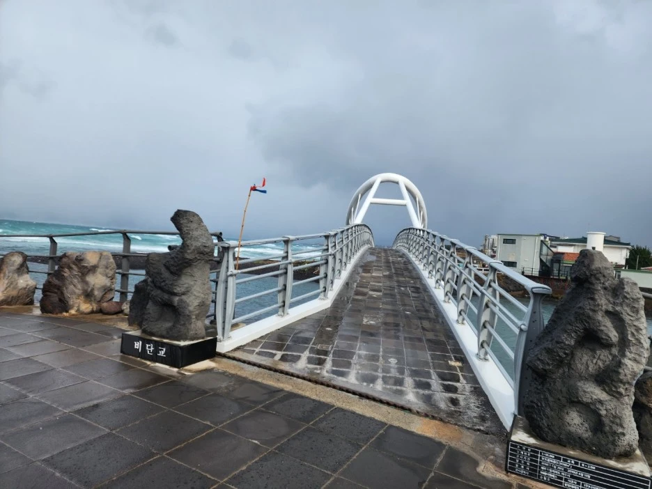 KakaoTalk_20221228_070210295_03.jpg?type=w1