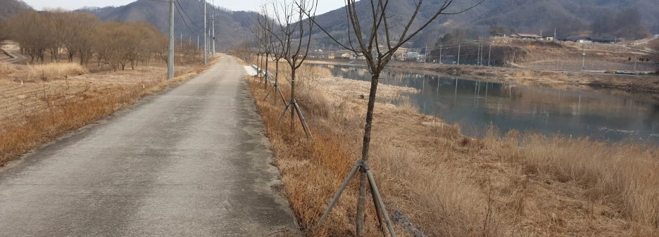 SE-b8b3179e-65b4-4887-afae-e2a8dbb91b50.jpg?type=w1