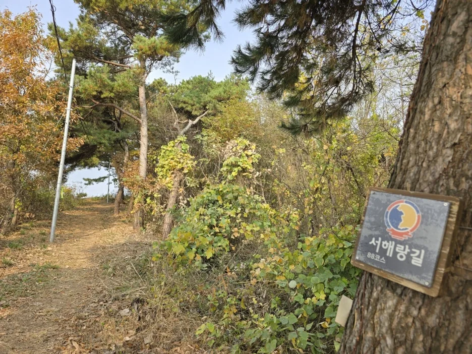 KakaoTalk_20241121_163313957_18.jpg?type=w1