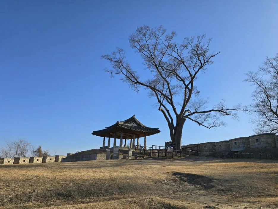 KakaoTalk_20241223_131706327_11.jpg?type=w1