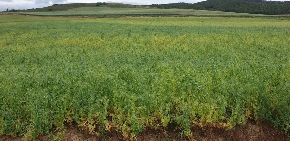 KakaoTalk_20220524_210224742_01.jpg?type=w1