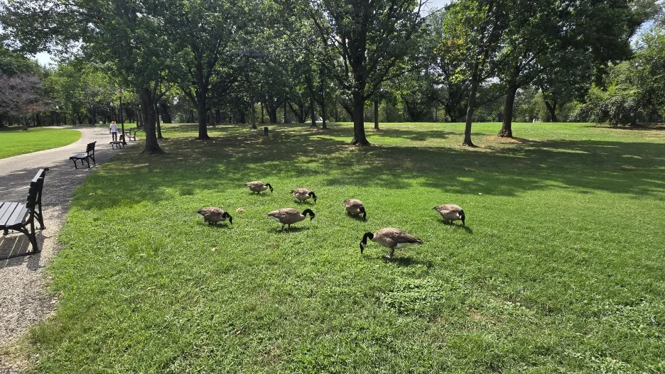 KakaoTalk_20250809_060145593_17.jpg?type=w1