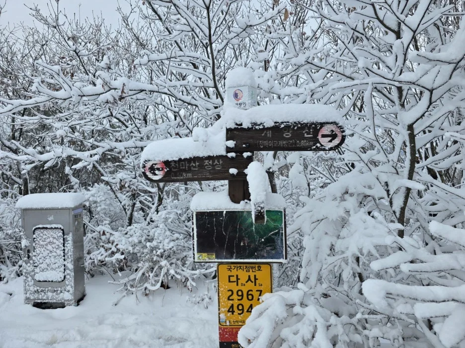 KakaoTalk_20241129_050938052_28.jpg?type=w1