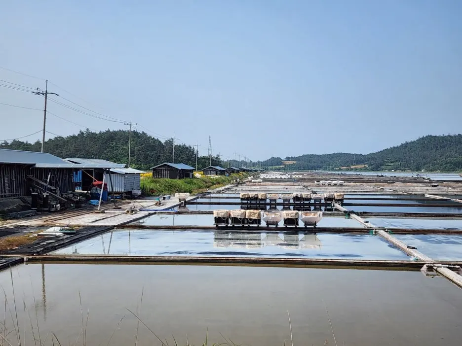 KakaoTalk_20240525_165017986_18.jpg?type=w1