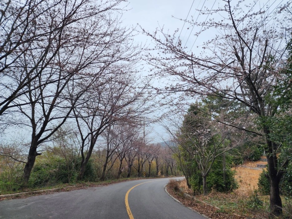 KakaoTalk_20230323_021520355_06.jpg?type=w1