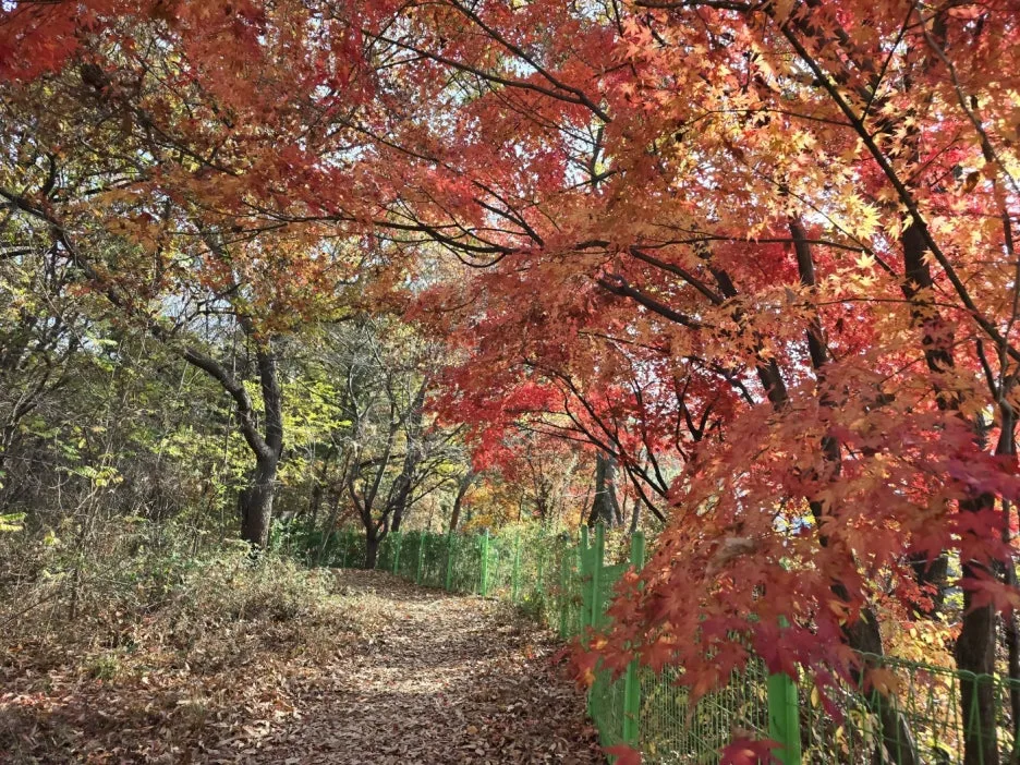 KakaoTalk_20241126_043411154_27.jpg?type=w1