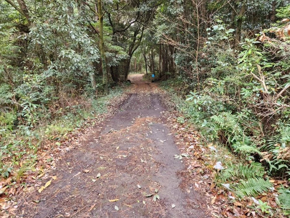 KakaoTalk_20221229_212156584_06.jpg?type=w1