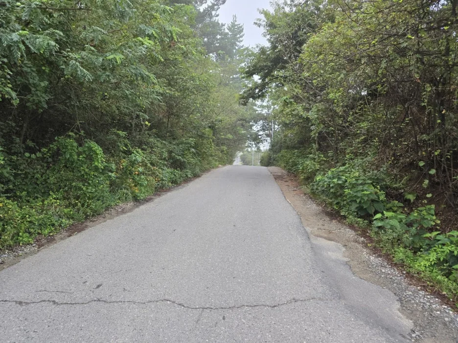 KakaoTalk_20241023_070118305.jpg?type=w1