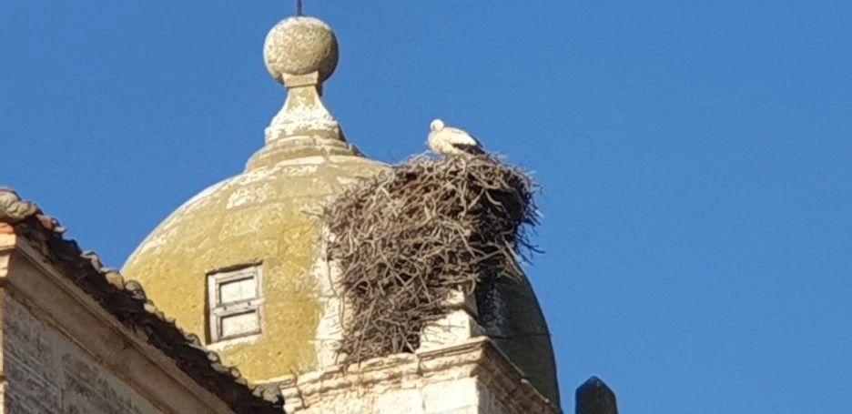 KakaoTalk_20220530_231729679_03.jpg?type=w1