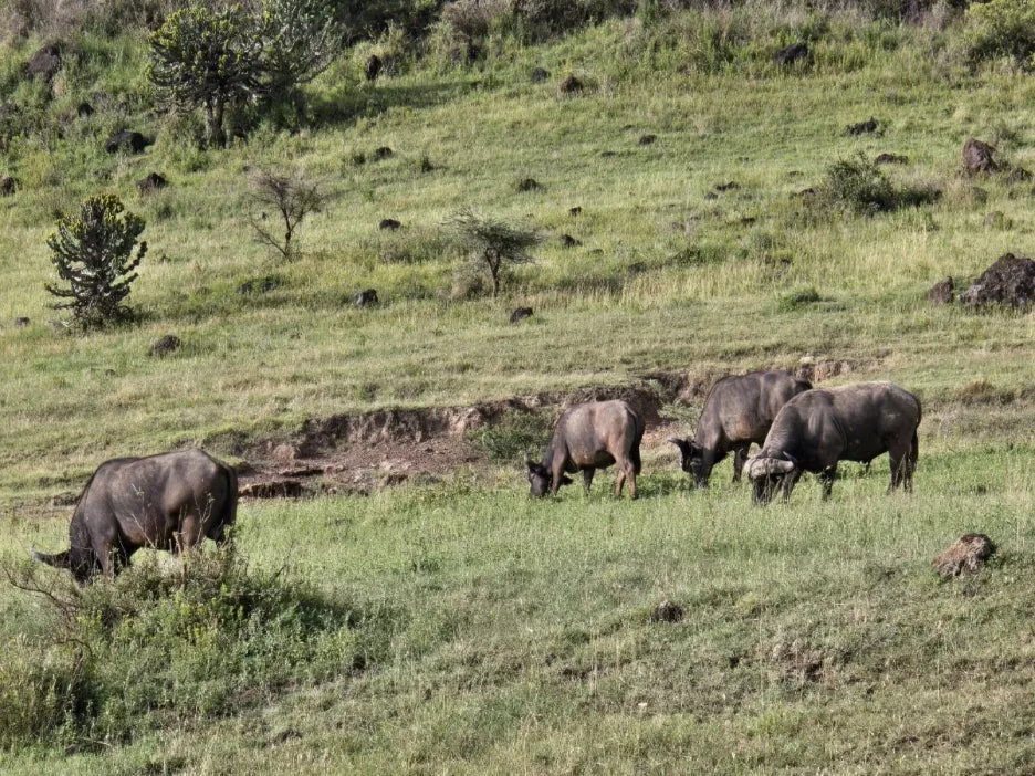 KakaoTalk_20250405_153555823_04.jpg?type=w1