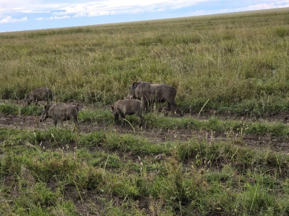 KakaoTalk_20250405_134443007_17.jpg?type=w1