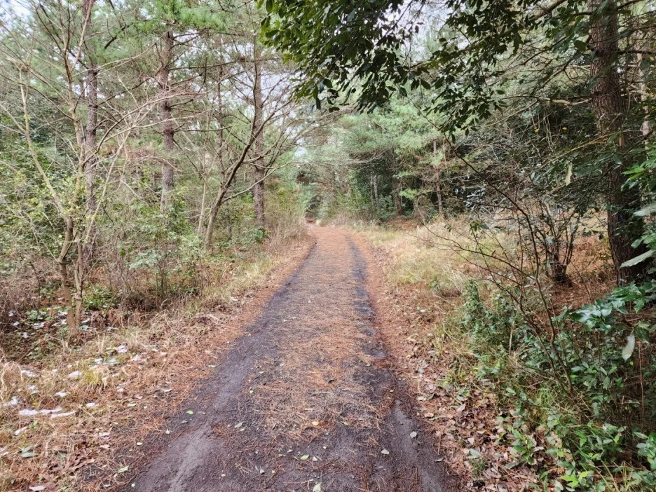 KakaoTalk_20221229_212156584_05.jpg?type=w1