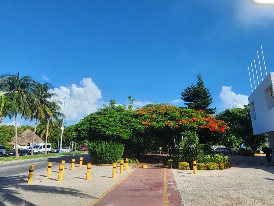 KakaoTalk_20240823_044935669_28.jpg?type=w1