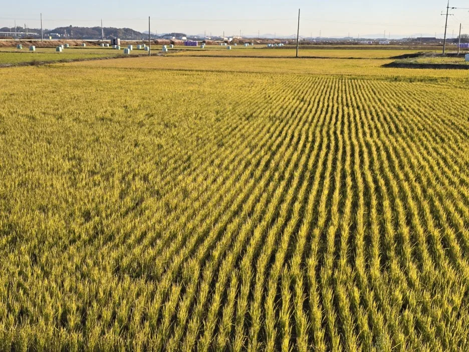 KakaoTalk_20241119_051244597_06.jpg?type=w1