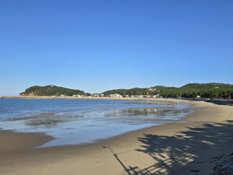 KakaoTalk_20241105_163345460_14.jpg?type=w1