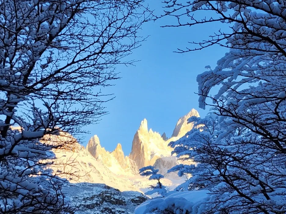 KakaoTalk_20240809_044224426_20.jpg?type=w1