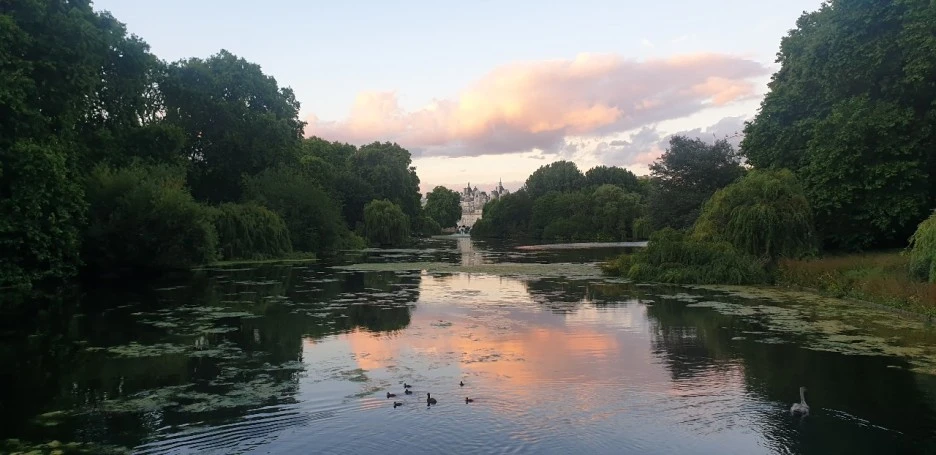 KakaoTalk_20220709_210402051_05.jpg?type=w1