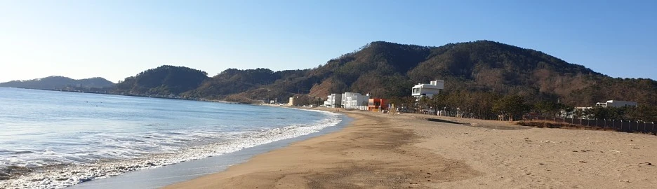 SE-ccb7d08e-2d0b-4c3b-8892-908c10f161f3.jpg?type=w1