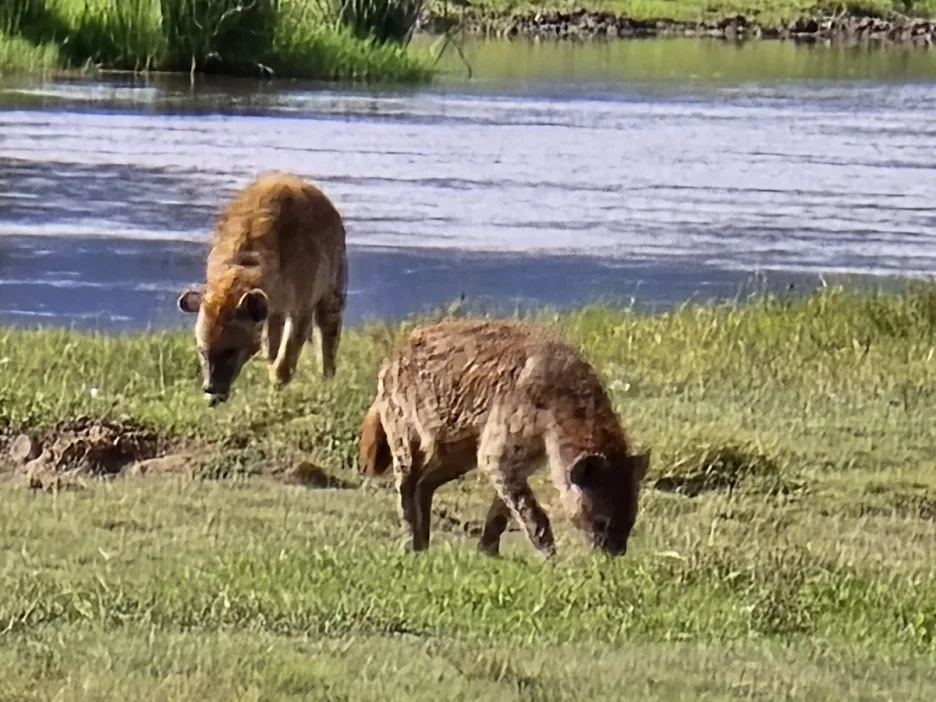 KakaoTalk_20250405_153555823_14.jpg?type=w1