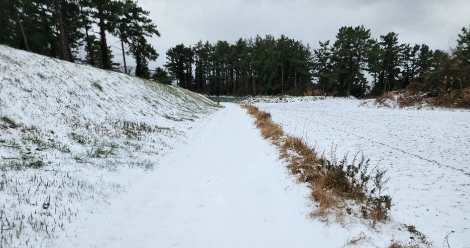 SE-45707ba0-2533-4377-96f2-03c4df8284b1.jpg?type=w1