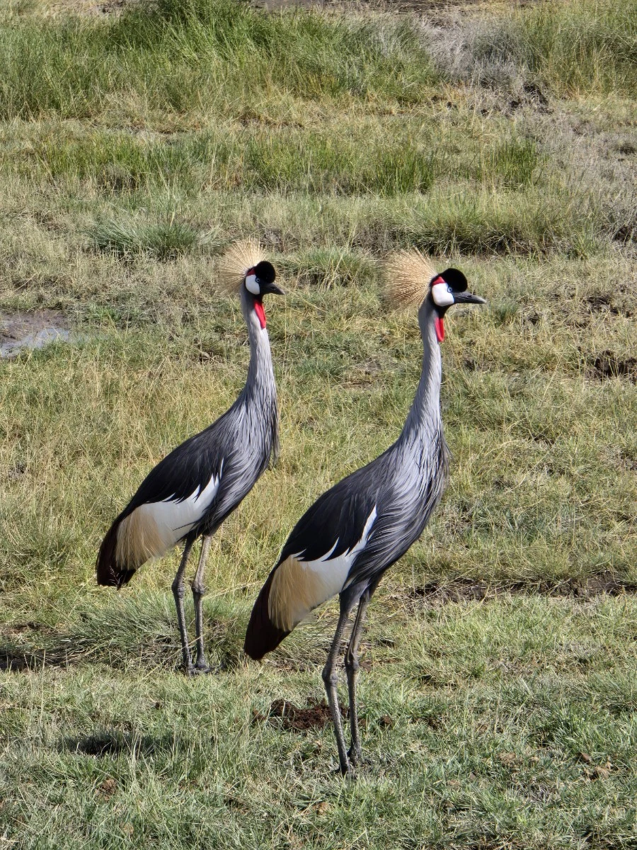 KakaoTalk_20250405_153555823_19.jpg?type=w1