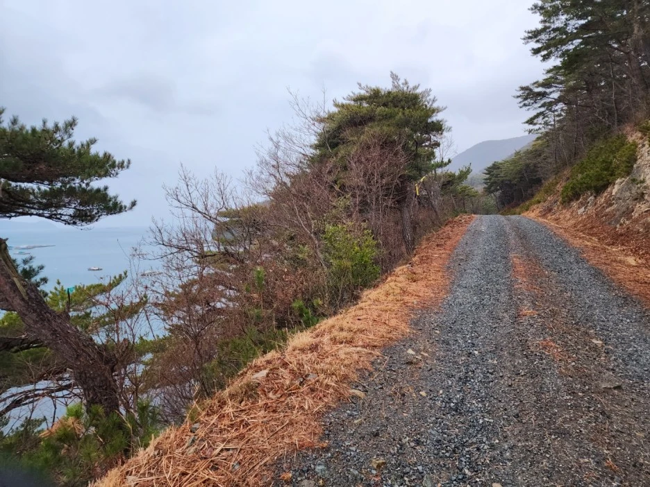 KakaoTalk_20230214_053104350_01.jpg?type=w1