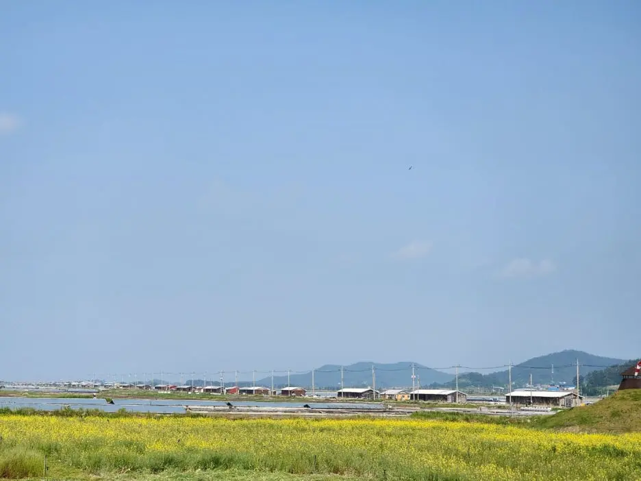 KakaoTalk_20240525_165017986_16.jpg?type=w1