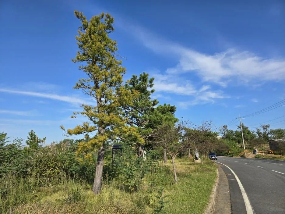 KakaoTalk_20241026_034442685_07.jpg?type=w1