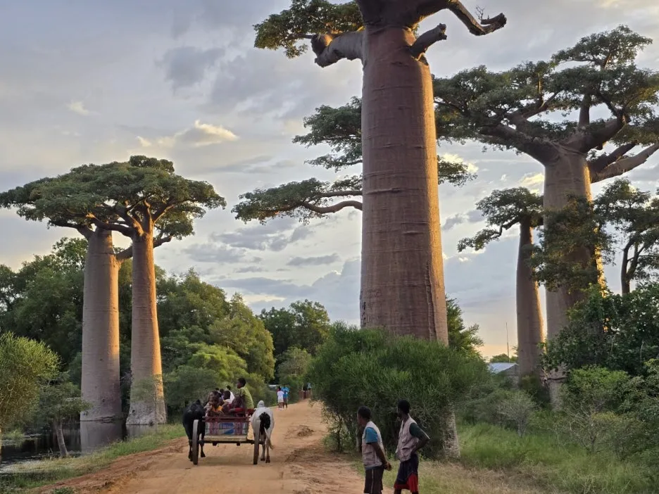 KakaoTalk_20250313_021335192_19.jpg?type=w1