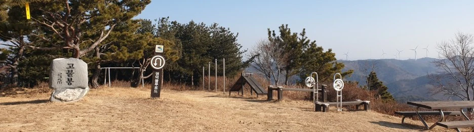 SE-d9837b37-5a2a-479d-9c88-498c41c9e3ed.jpg?type=w1