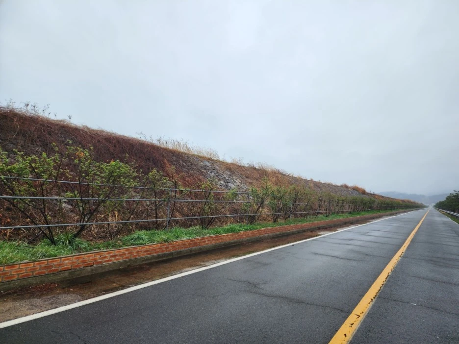 KakaoTalk_20230326_043739862_16.jpg?type=w1