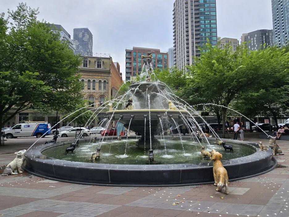 KakaoTalk_20250802_043149011_02.jpg?type=w1