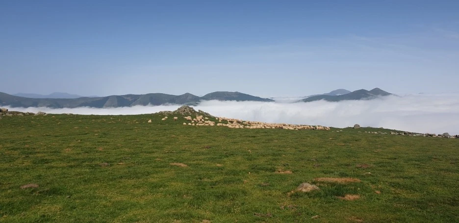 KakaoTalk_20220520_230646734.jpg?type=w1