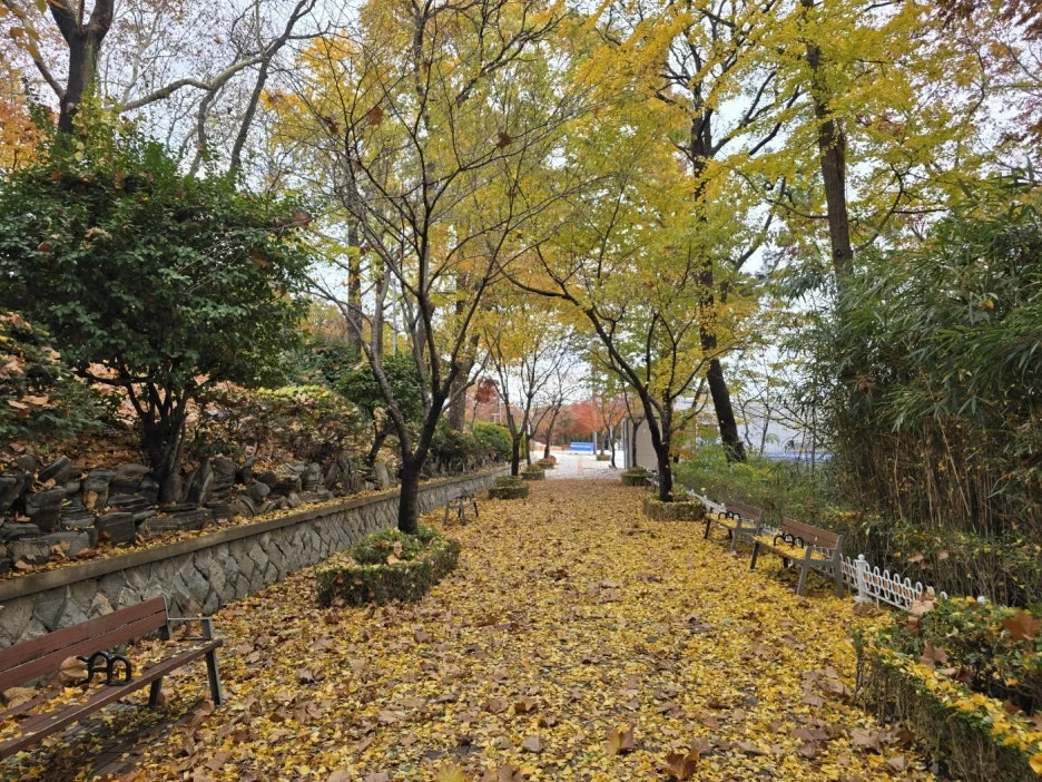 KakaoTalk_20241128_094326100_05.jpg?type=w1