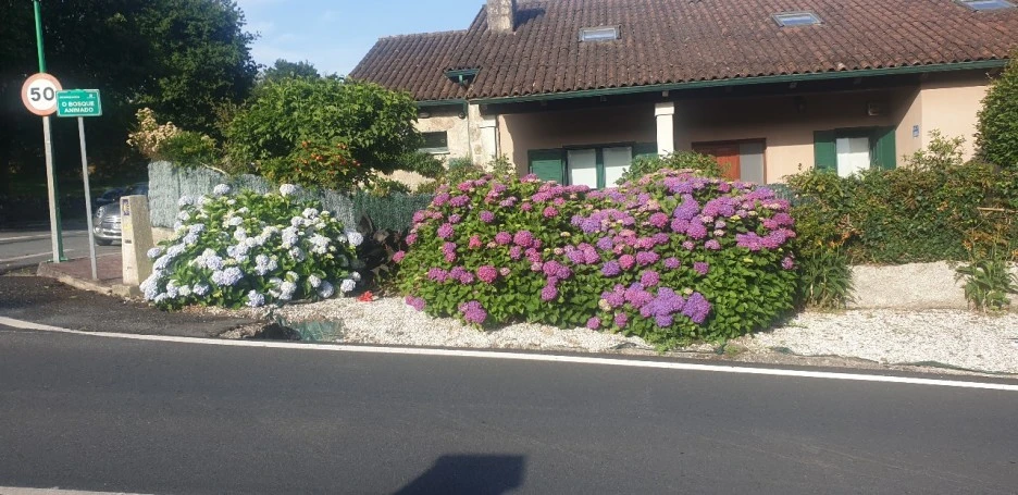 KakaoTalk_20220618_000654540_08.jpg?type=w1