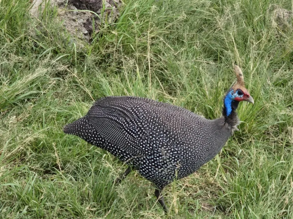 KakaoTalk_20250405_153815245_02.jpg?type=w1