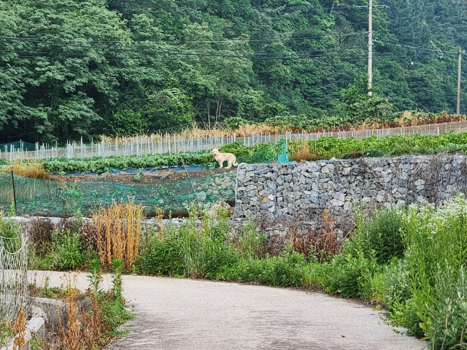 KakaoTalk_20240623_045454376_01.jpg?type=w1