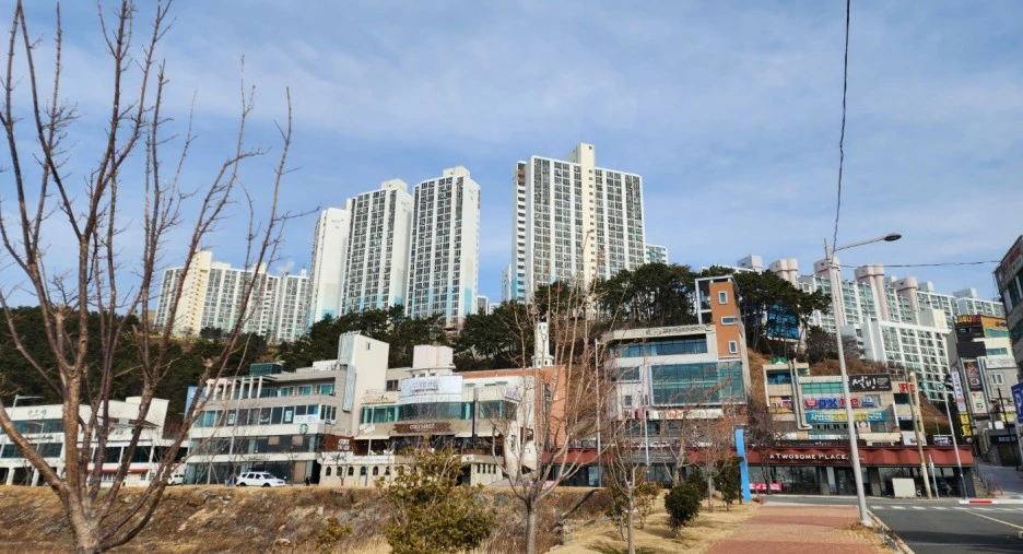 SE-56f2add9-5c2b-4a47-b4ee-b878e1cadf90.jpg?type=w1