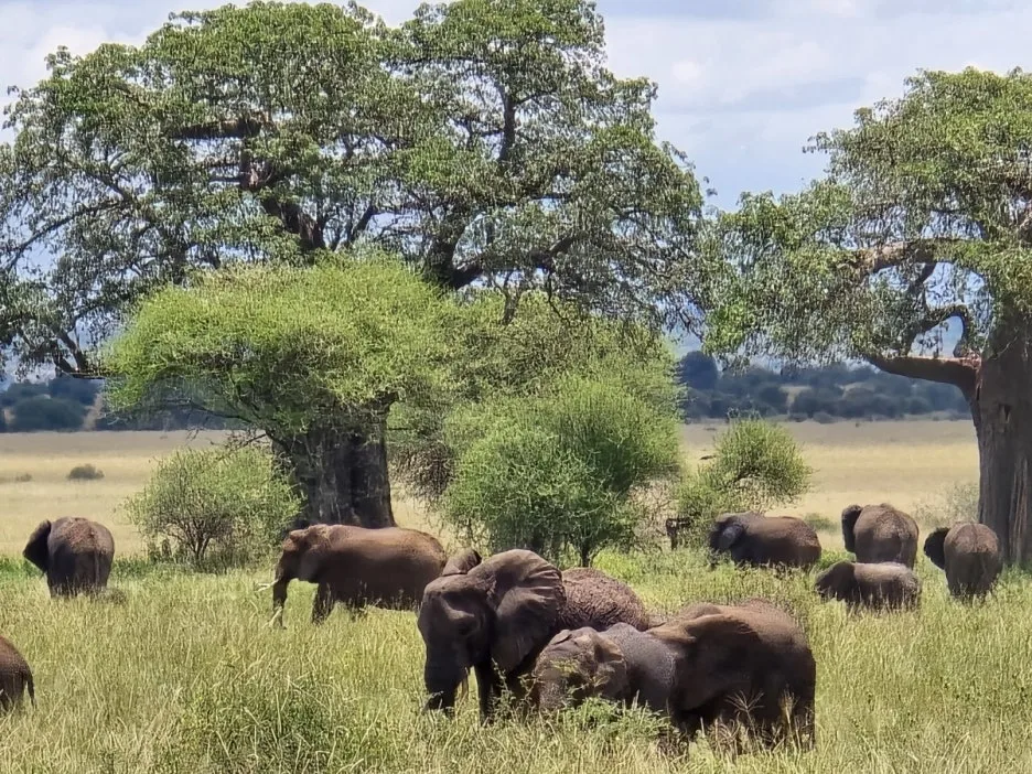 KakaoTalk_20250405_112215504_09.jpg?type=w1