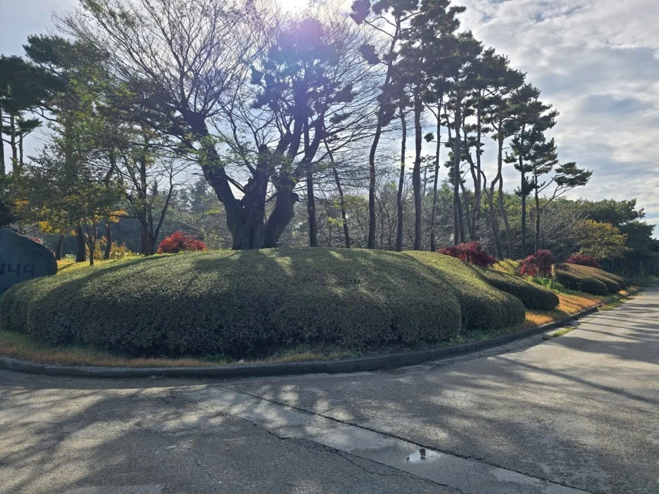 KakaoTalk_20241116_023630166_16.jpg?type=w1