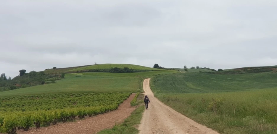 KakaoTalk_20220528_044008719.jpg?type=w1