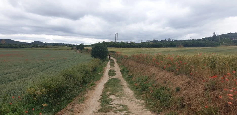 KakaoTalk_20220524_081508221_05.jpg?type=w1