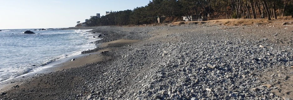 SE-9d231d1f-7682-4dd9-b0e8-c5af40ac146f.jpg?type=w1