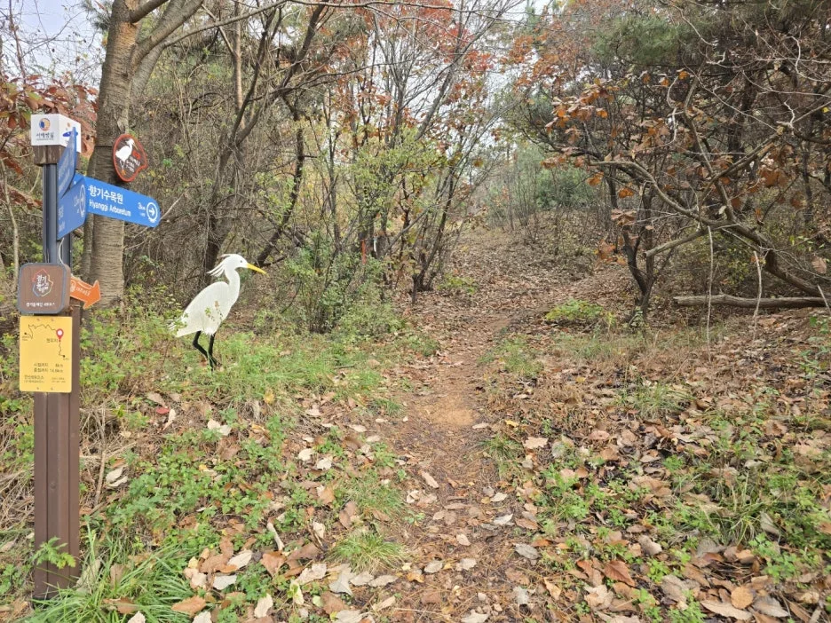 KakaoTalk_20241122_010459115_07.jpg?type=w1