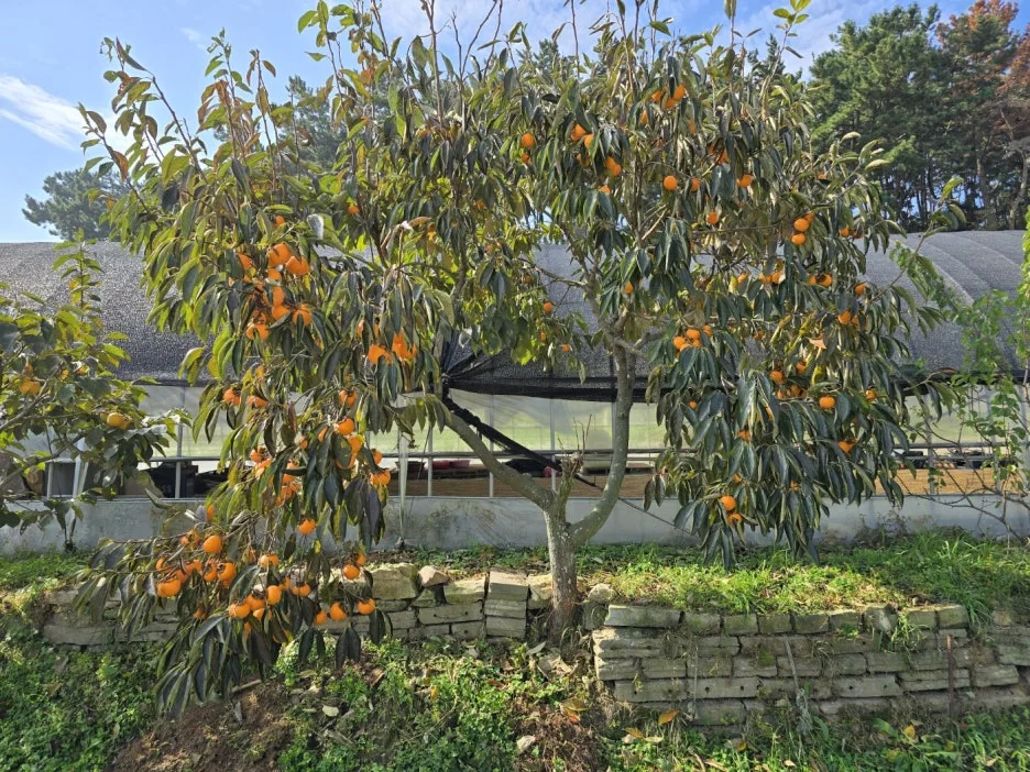 KakaoTalk_20241102_064540914_21.jpg?type=w1