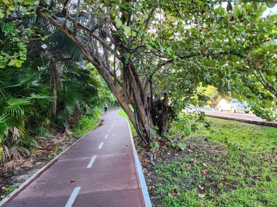 KakaoTalk_20240823_044935669.jpg?type=w1