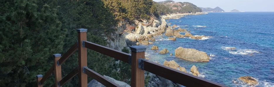 SE-151e59dd-8737-4acc-ba50-fbd24ff7ea79.jpg?type=w1