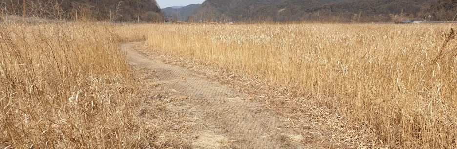 SE-c373f4a1-3a4e-446d-9cc2-8763a30e05c0.jpg?type=w1