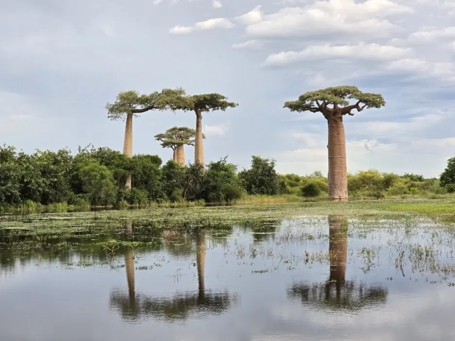 KakaoTalk_20250313_021335192_14.jpg?type=w1