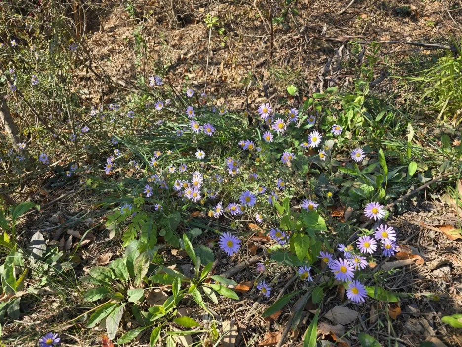 KakaoTalk_20241122_202414998_26.jpg?type=w1